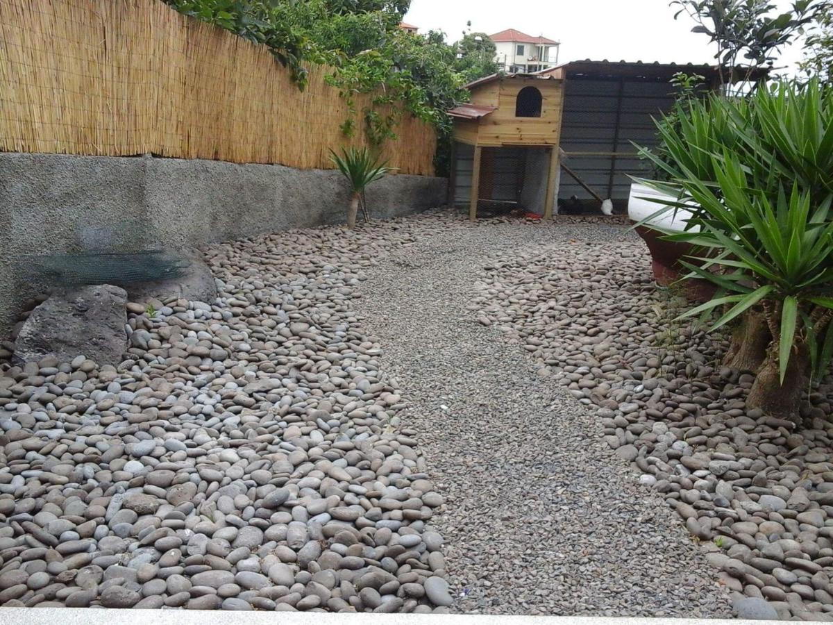 Cottage Quinze, Contemporary Designed Cottage With Swimming Pool 蓬塔德尔加达 外观 照片