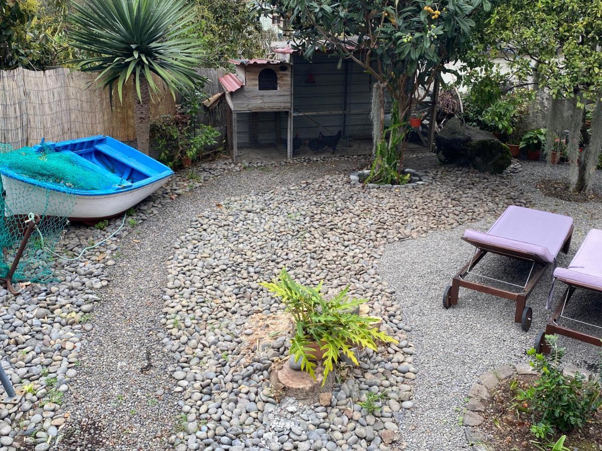 Cottage Quinze, Contemporary Designed Cottage With Swimming Pool 蓬塔德尔加达 外观 照片